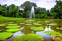 Kebun Raya Bogor